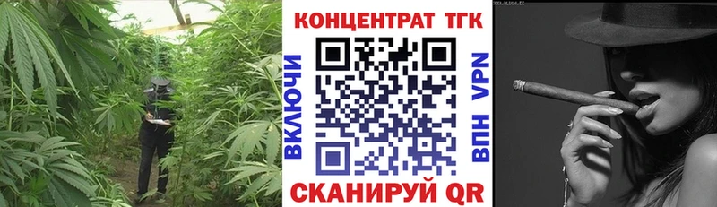 как найти закладки Петропавловск-Камчатский Дистиллят ТГК THC oil