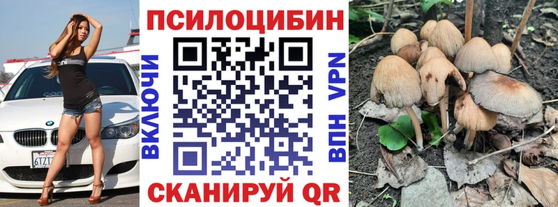 магазин продажи   Петропавловск-Камчатский  Псилоцибиновые грибы MAGIC MUSHROOMS 